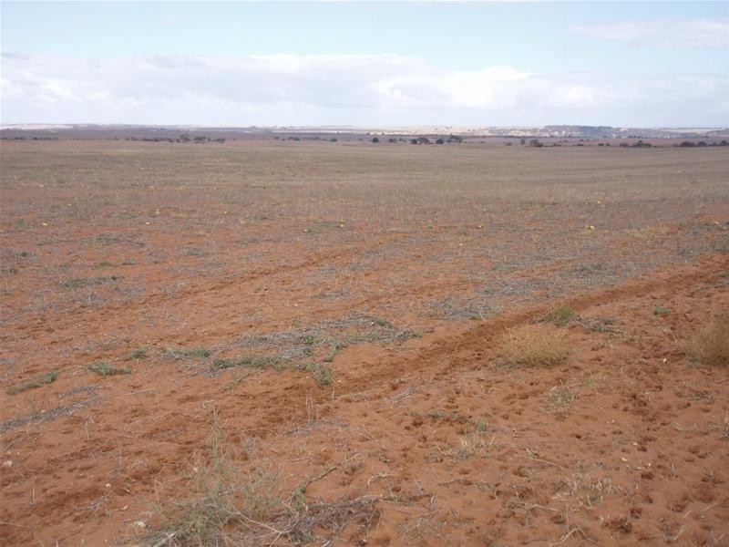 LOT 1 Section 106, Nildottie SA 5238