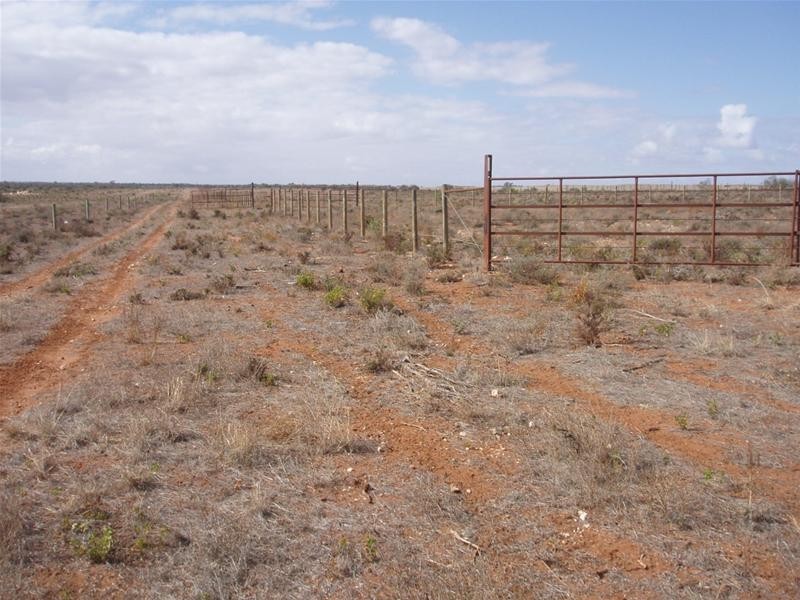 LOT 1 Section 106, Nildottie SA 5238