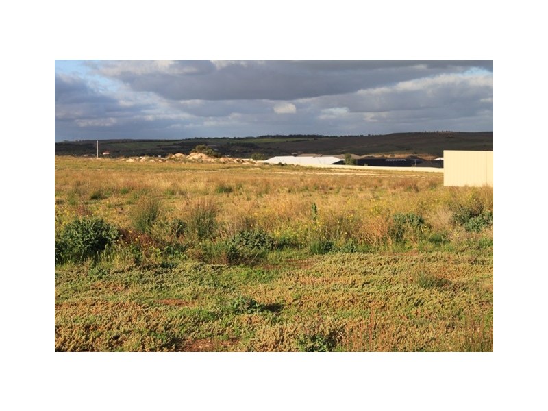 29 North Terrace, Mannum SA 5238