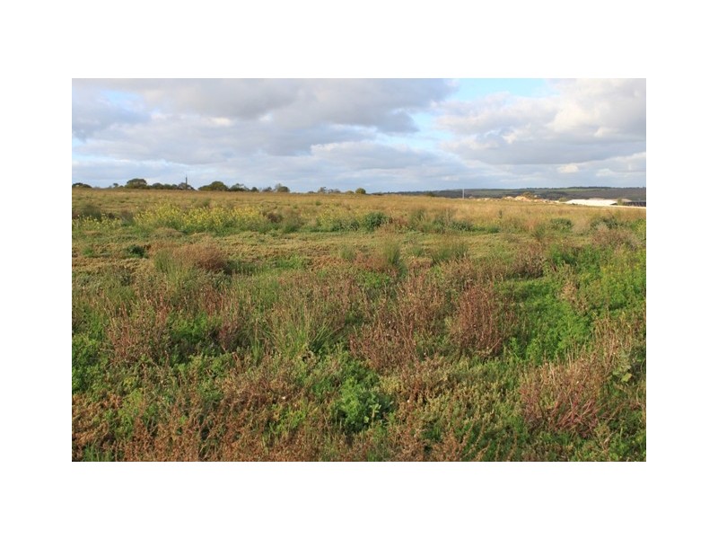 29 North Terrace, Mannum SA 5238