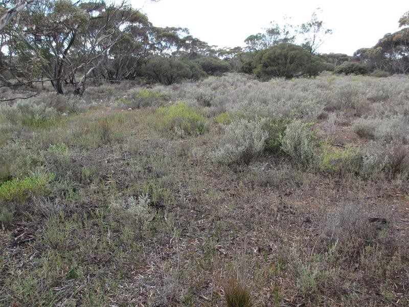 Section 207 Government Road, Black Hill SA 5353