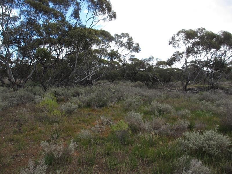 Section 207 Government Road, Black Hill SA 5353