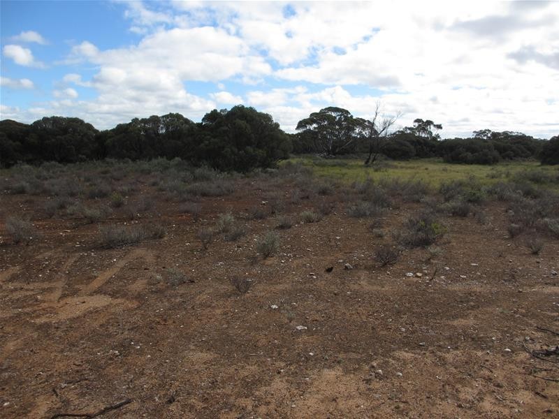 Section 207 Government Road, Black Hill SA 5353