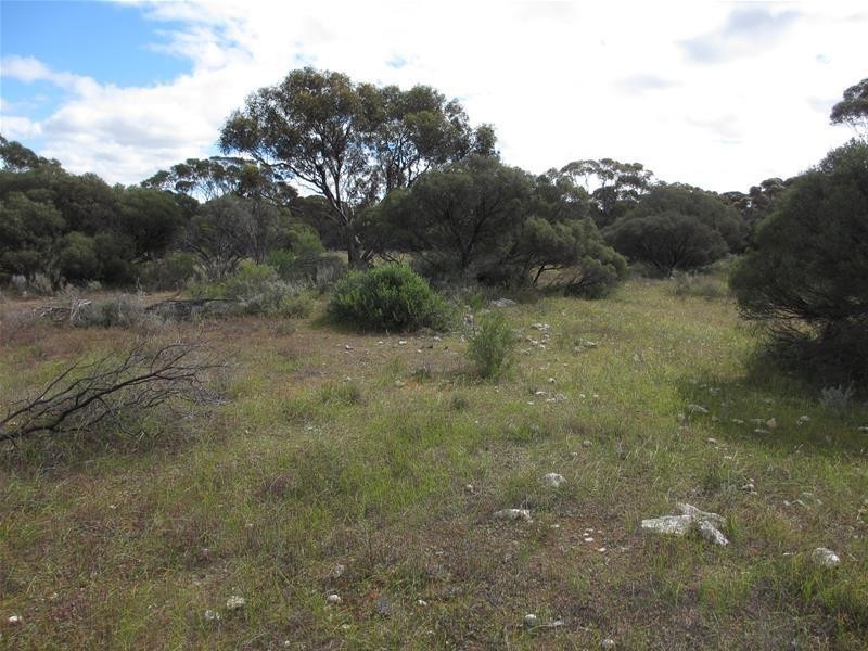 Section 207 Government Road, Black Hill SA 5353