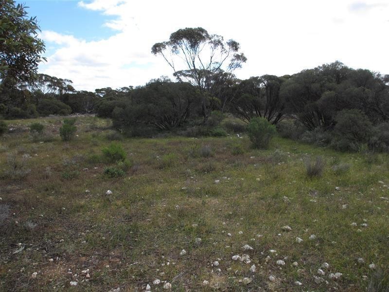 Section 207 Government Road, Black Hill SA 5353