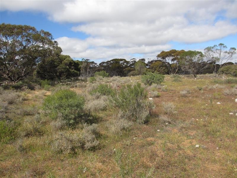 Section 207 Government Road, Black Hill SA 5353