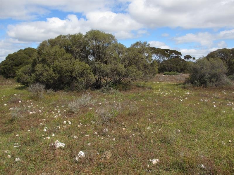 Section 207 Government Road, Black Hill SA 5353