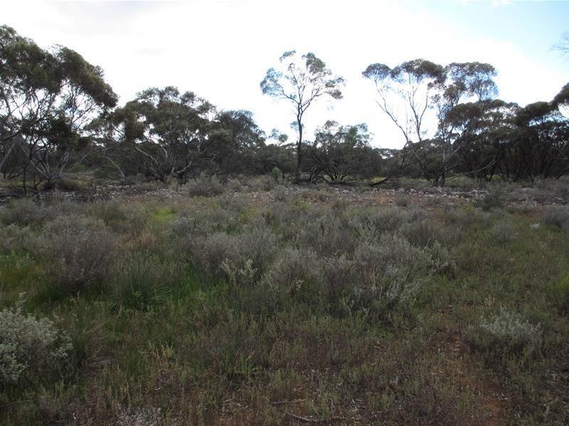 Section 207 Government Road, Black Hill SA 5353