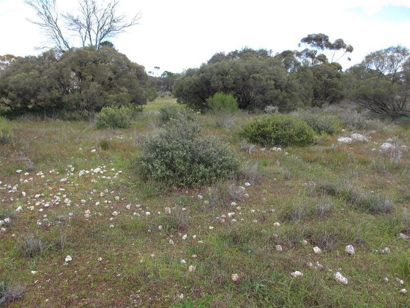 Section 207 Government Road, Black Hill SA 5353