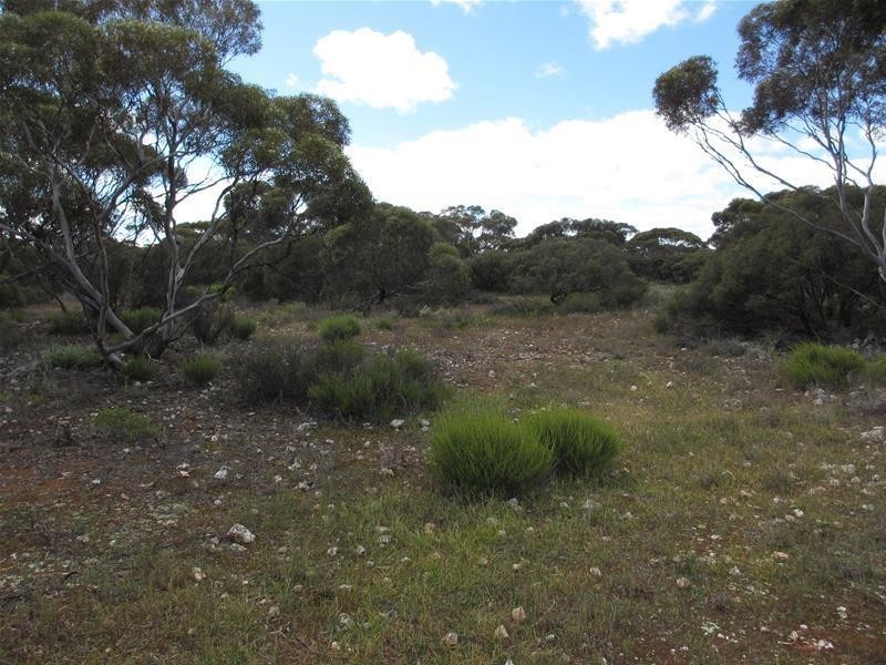 Section 207 Government Road, Black Hill SA 5353