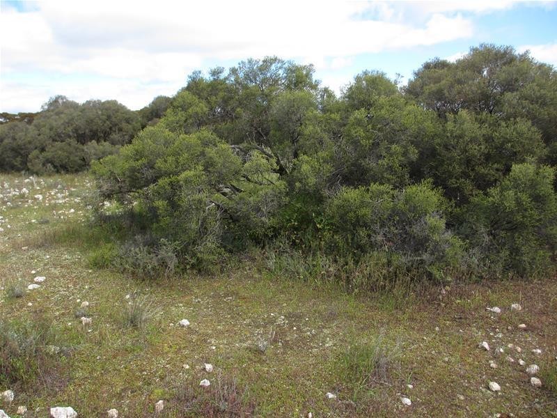 Section 207 Government Road, Black Hill SA 5353