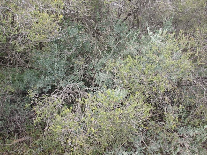 Section 207 Government Road, Black Hill SA 5353