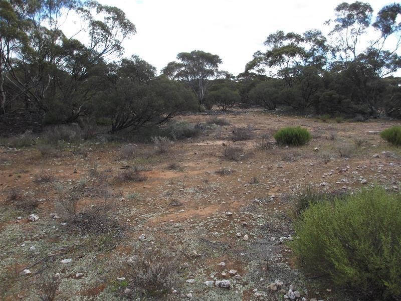 Section 207 Government Road, Black Hill SA 5353