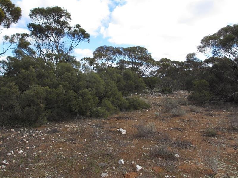 Section 207 Government Road, Black Hill SA 5353