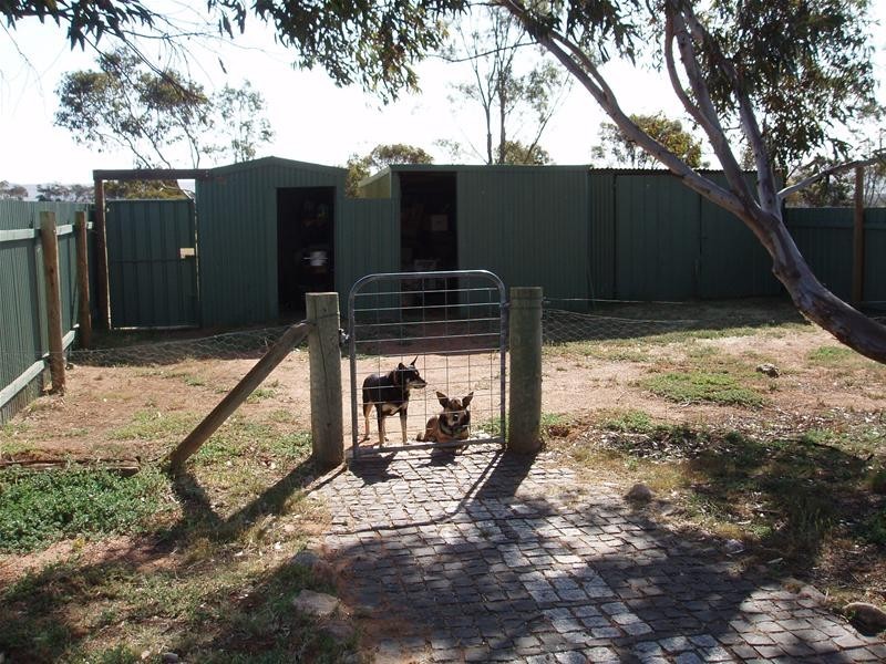 336 Redbanks Road, Cambrai SA 5353