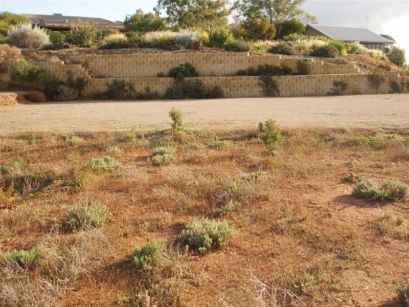 3 Crawford Crescent, Mannum SA 5238