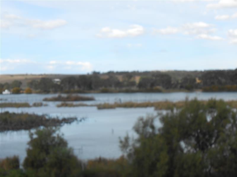 17 Purnong Road, Mannum SA 5238