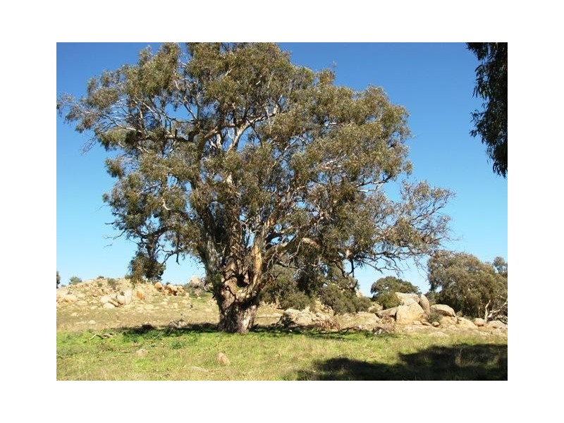 Lot 15 Humbles Road, Mount Pleasant SA 5235