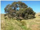 Lot 15 Humbles Road, Mount Pleasant SA 5235