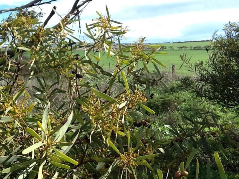 ‘The Crossing’ Adelaide & Mannum-Adelaide Road, Mannum SA 5238