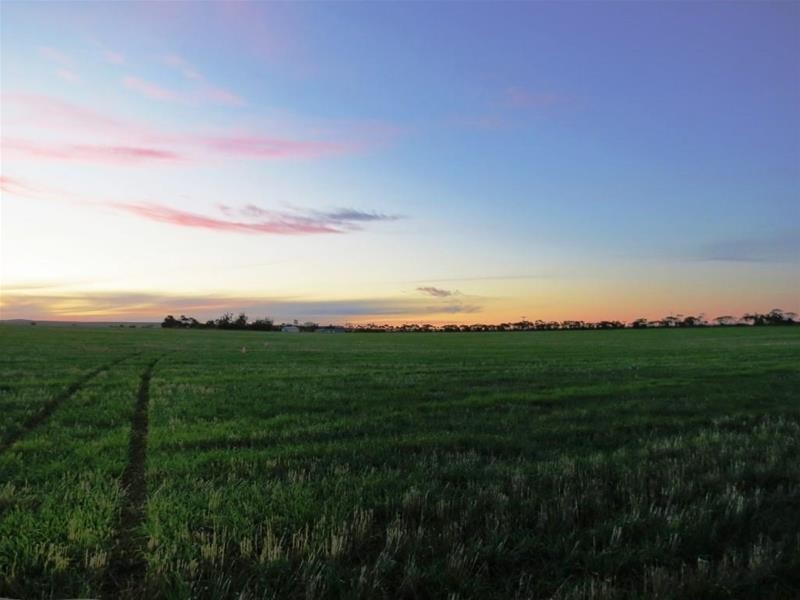 ‘The Crossing’ Adelaide & Mannum-Adelaide Road, Mannum SA 5238