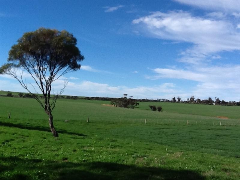 ‘The Crossing’ Adelaide & Mannum-Adelaide Road, Mannum SA 5238
