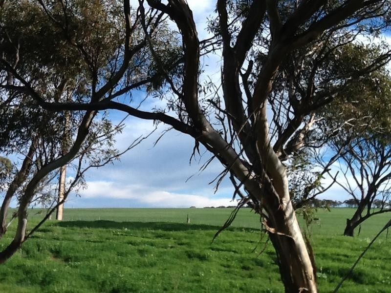 ‘The Crossing’ Adelaide & Mannum-Adelaide Road, Mannum SA 5238
