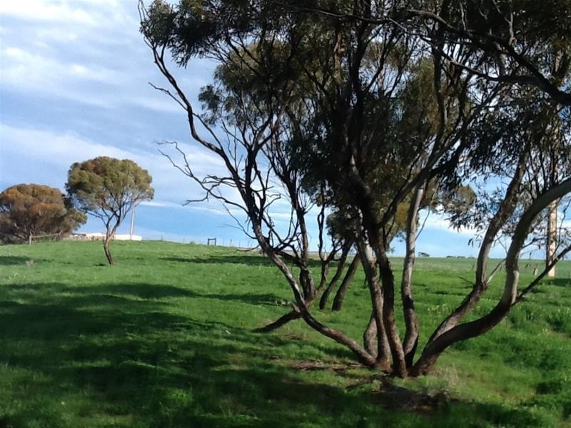 ‘The Crossing’ Adelaide & Mannum-Adelaide Road, Mannum SA 5238