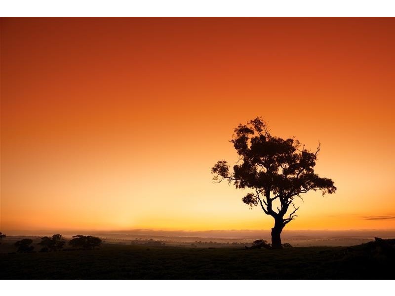 ‘The Crossing’ Adelaide & Mannum-Adelaide Road, Mannum SA 5238