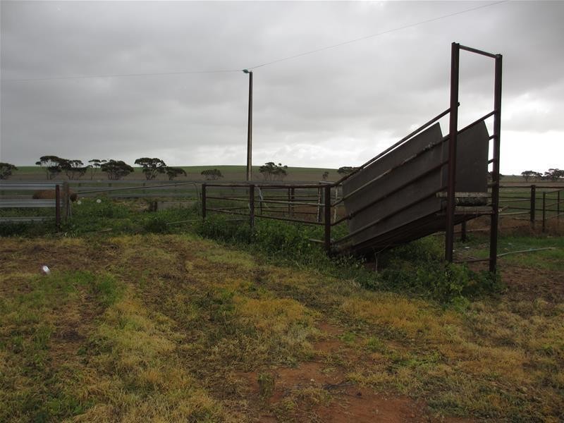 2841 Randell Road, Mannum SA 5238