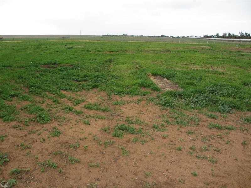 2841 Randell Road, Mannum SA 5238