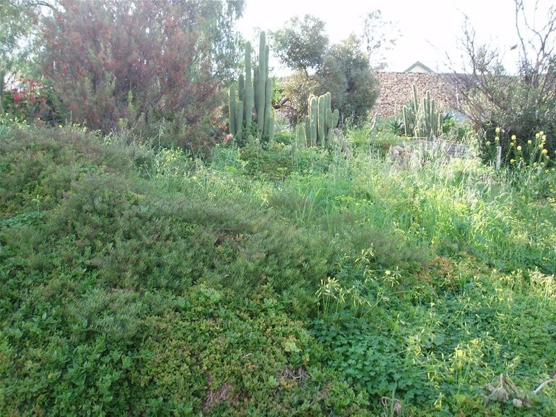 7 Schuetze Street, Mannum SA 5238