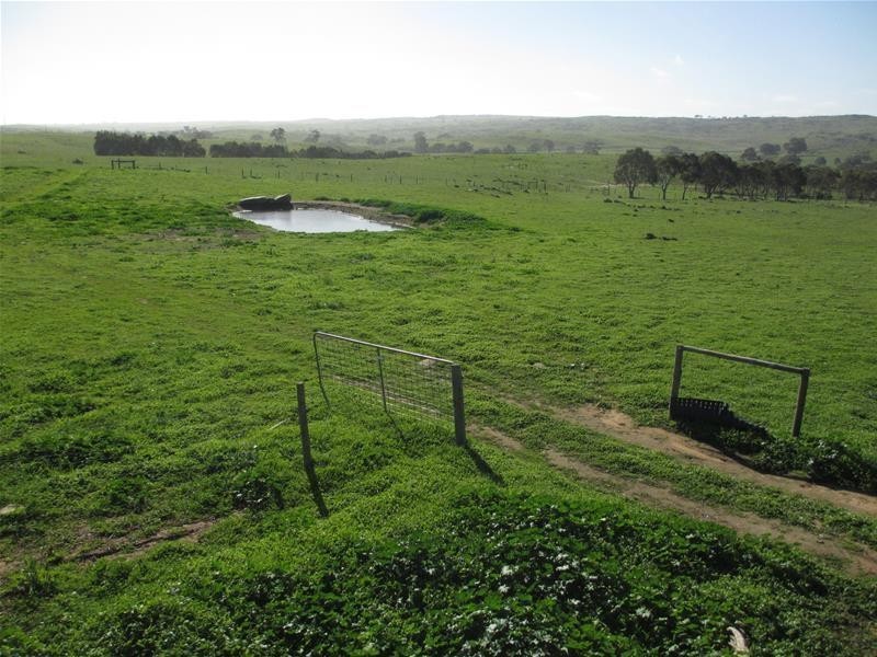 265 Ayres Road, Tungkillo SA 5236