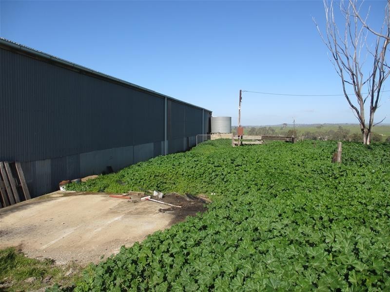 265 Ayres Road, Tungkillo SA 5236