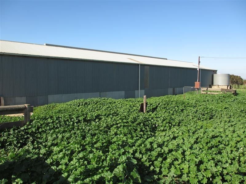 265 Ayres Road, Tungkillo SA 5236