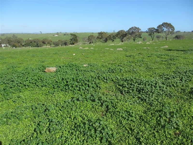 265 Ayres Road, Tungkillo SA 5236