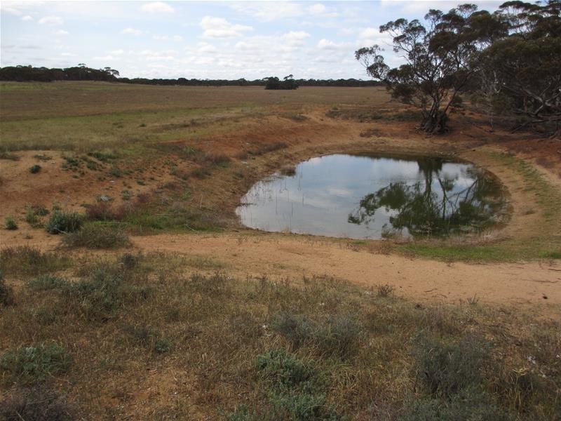 Section 207 Sleeper Track Road, Sedan SA 5353