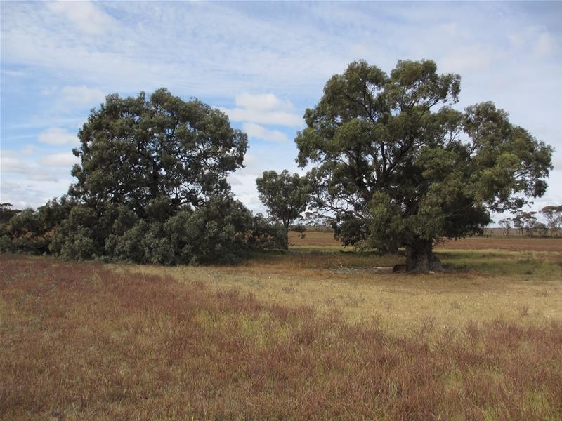 Section 207 Sleeper Track Road, Sedan SA 5353