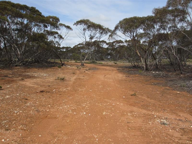 Section 207 Sleeper Track Road, Sedan SA 5353