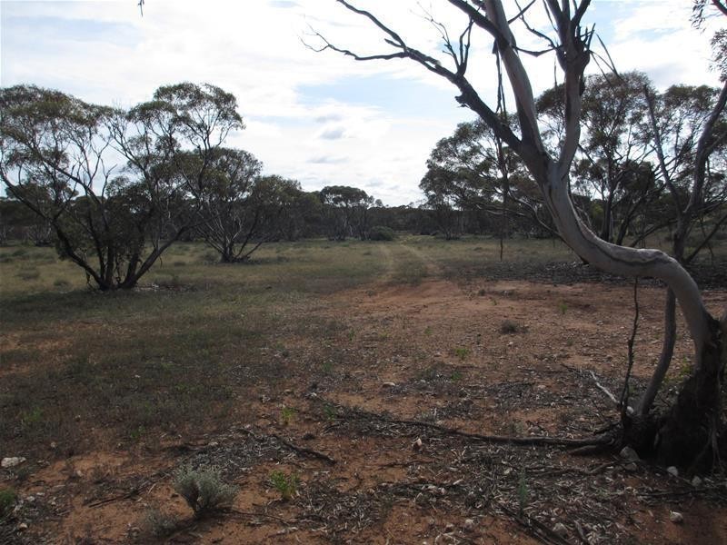 Section 207 Sleeper Track Road, Sedan SA 5353