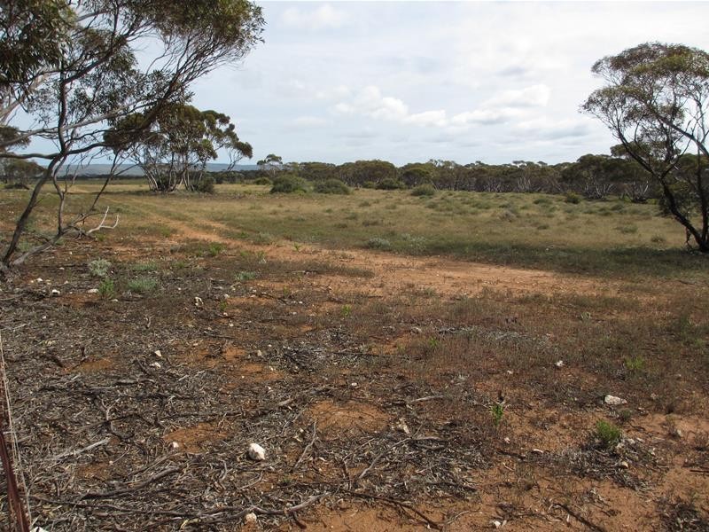 Section 207 Sleeper Track Road, Sedan SA 5353