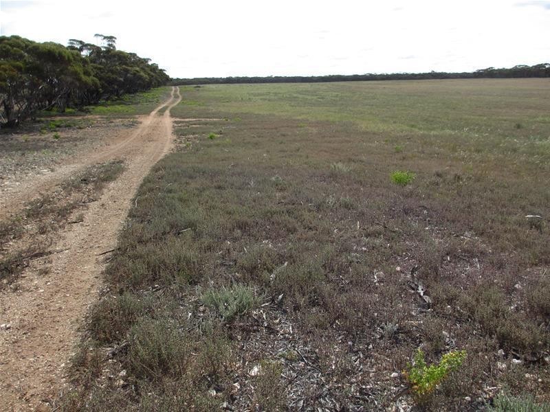 Section 207 Sleeper Track Road, Sedan SA 5353