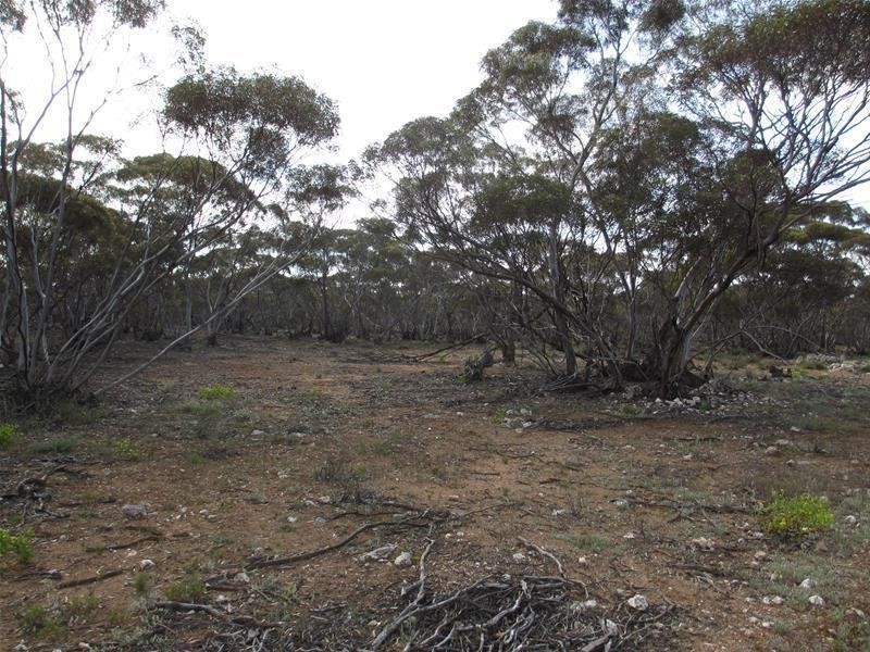 Section 207 Sleeper Track Road, Sedan SA 5353