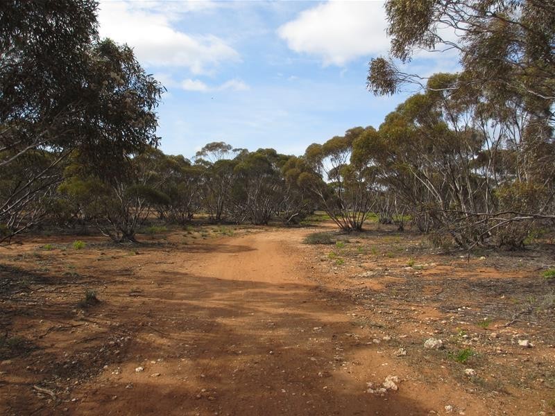 Section 207 Sleeper Track Road, Sedan SA 5353