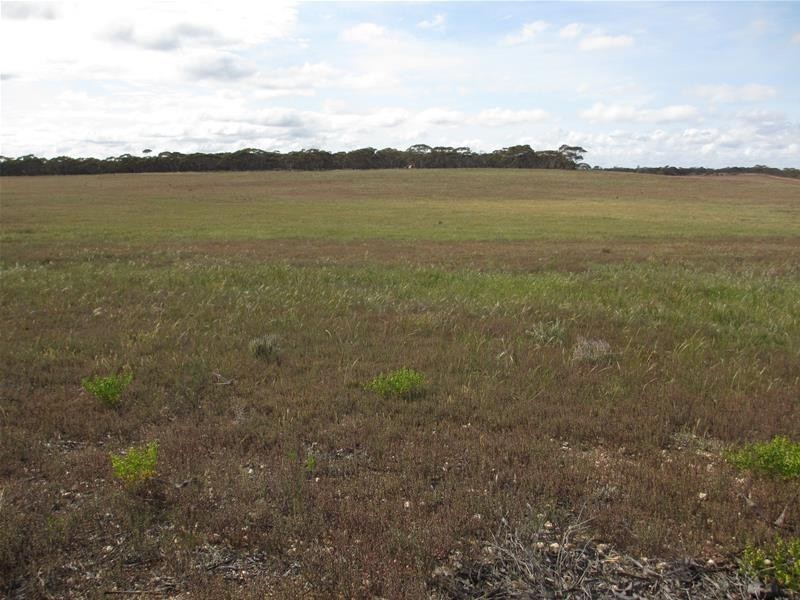 Section 207 Sleeper Track Road, Sedan SA 5353