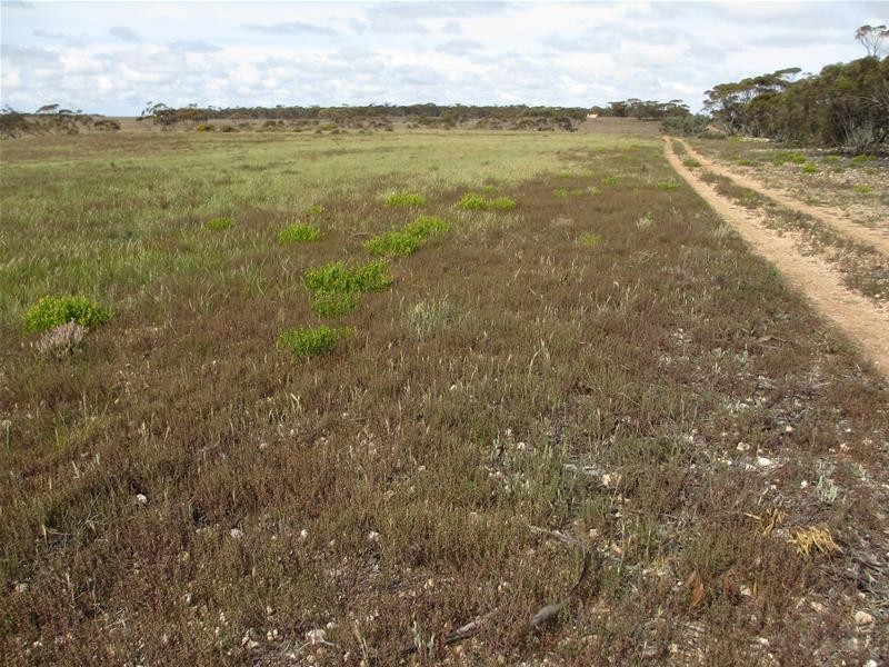 Section 207 Sleeper Track Road, Sedan SA 5353