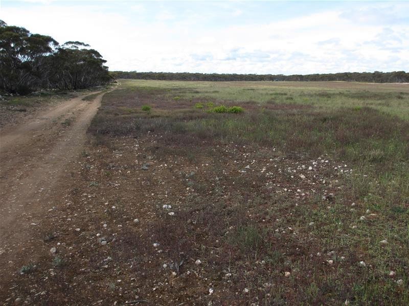 Section 207 Sleeper Track Road, Sedan SA 5353