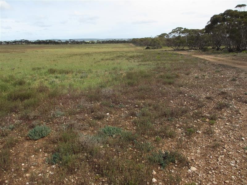 Section 207 Sleeper Track Road, Sedan SA 5353