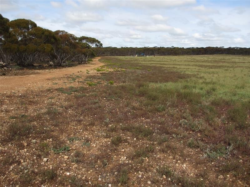Section 207 Sleeper Track Road, Sedan SA 5353