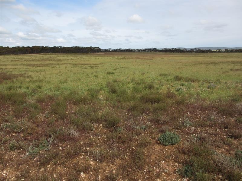 Section 207 Sleeper Track Road, Sedan SA 5353